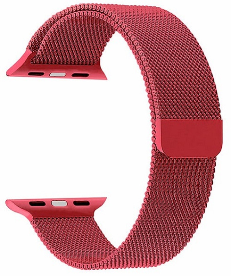 Изображение товара Ремешок на руку Lyambda CAPELLA для Apple Watch из нержавеющей стали