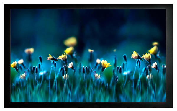 Изображение товара Экран Cactus CS-PSFRE-200X113 натяжной для короткофокусных проекторов