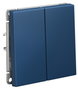 фото Выключатель двухклавишный Systeme Electric GAL001117S