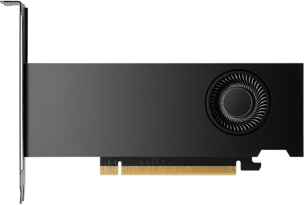 фото Видеокарта nVidia QUADRO RTX 2000 Ada (900-5G192-2240-000||ATX+LP) в Уфе