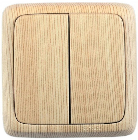 Изображение товара Двухклавишный выключатель HEGEL ВА16-153-02 для дома и офиса