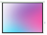 фото Экран  Lumien LEC-100118