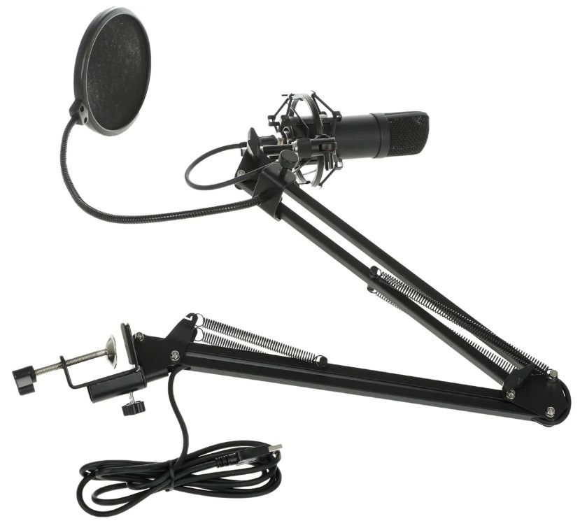 

Микрофон Ritmix RDM-180 80000153 2.5м черный, RDM-180