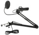 фото Микрофон  Ritmix RDM-180 в Перми