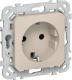 фото Розетка с заземлением  IEK FI-R14-16-1-K88