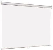 фото Экран  Lumien LEP-100133