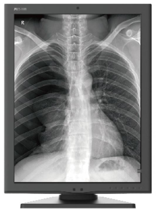 

Монитор 21,3" Jusha JUSHA-M260G 1600х1200, 4:3, 1000cd, 1400:1, 16ms, 178/178, black, JUSHA-M260G