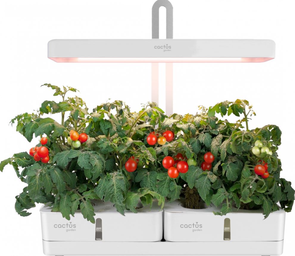 

Кашпо Cactus CS-LEDPOT-08 Garden 3.0л белый, CS-LEDPOT-08