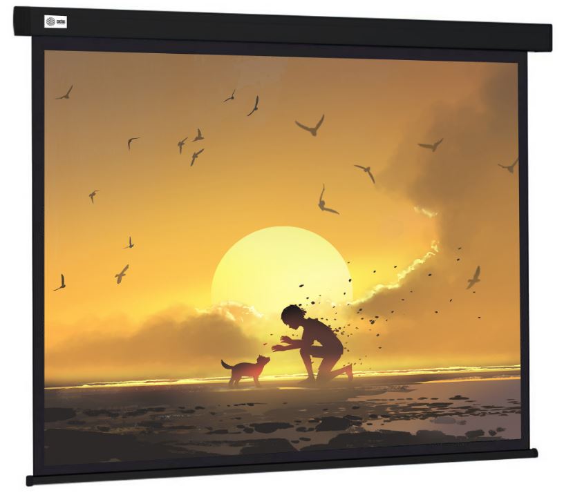 

Экран Cactus CS-PSW-150X150-BK Wallscreen 1:1 настенно-потолочный рулонный черный, CS-PSW-150X150-BK