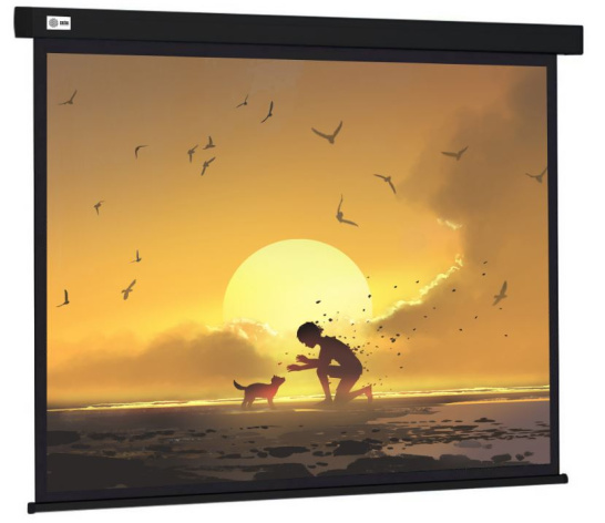 фото Экран  Cactus CS-PSW-150X150-BK в Ростове-на-Дону