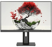 фото Монитор RDW Computers RDW2401K