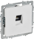 фото Розетка компьютерная  IEK BR-K10-1-K91 в Санкт-Петербургe