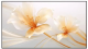 фото Экран  XGIMI 100" UST ALR Screen в Уфе