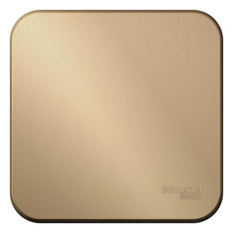 Изображение товара Выключатель Systeme Electric BLNVA101004 серия Blanca титан 10 А