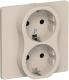 фото Розетка двухместная с заземлением  IEK FI-R21C-16-1-K88