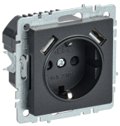 фото Розетка с заземлением IEK BR-R14-16-U21-D21-K53