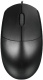 фото Мышь Wireless Rapoo N100 в Нижнем Новгороде