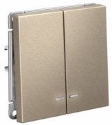 фото Выключатель двухклавишный с подсветкой  Systeme Electric GAL000553S
