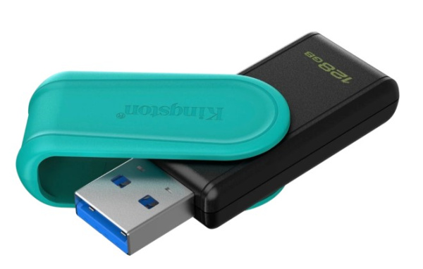 фото Накопитель USB 3.2 128GB Kingston DTXS/128GB в Красноярске