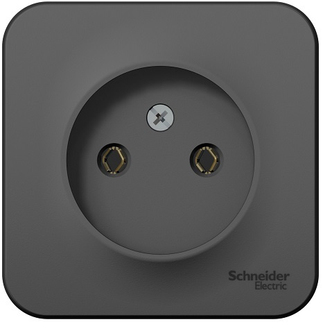 фото Розетка  Systeme Electric BLNRA000106 в Красноярске