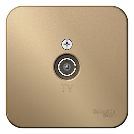 фото Розетка  Systeme Electric BLNTA000014 в Омске