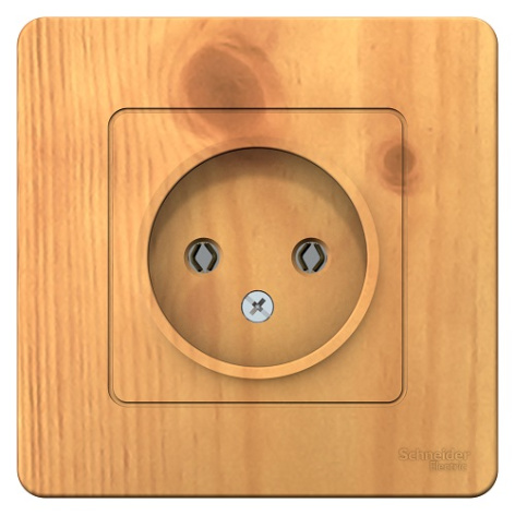 фото Розетка  Systeme Electric BLNRS000015 в Екатеринбурге