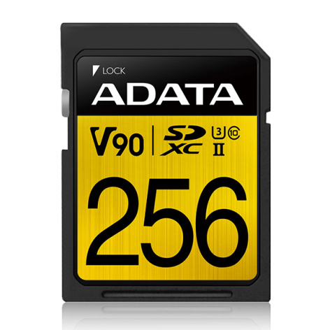 фото Карта памяти 256GB ADATA ASDX256GUII3CL10-C в Уфе