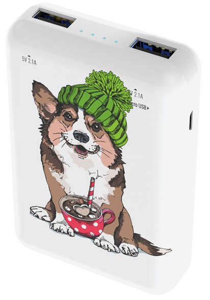 

Аккумулятор внешний портативный Ritmix RPB-10007 Corgi 10000 мАч, Li-Pol, 2*USB A, тип дисплея LED, защита от К.З., перегрузки, перегрева (80000562), RPB-10007 Corgi