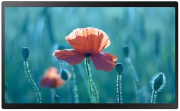 фото Интерактивная панель Samsung QB13R-TM