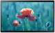 фото Интерактивная панель  Samsung QB13R-TM в Казани