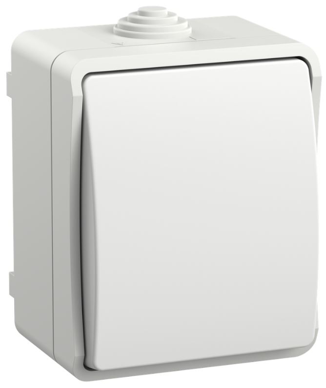 

Выключатель кнопочный IEK EVS13-K01-10-54-DC FORS открытой установки IP54 ВСк20-1-0-ФБ белый, EVS13-K01-10-54-DC
