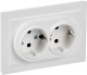 фото Розетка двухместная с заземлением  IEK BR-R24-16-K91-F