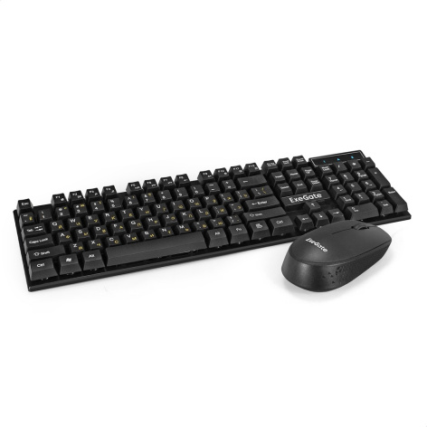 фото Комплект беспроводной Exegate Professional Standard Combo MK210 в Нижнем Новгороде