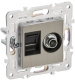 фото Розетка  IEK SK-AK20-1-K50 в Санкт-Петербургe