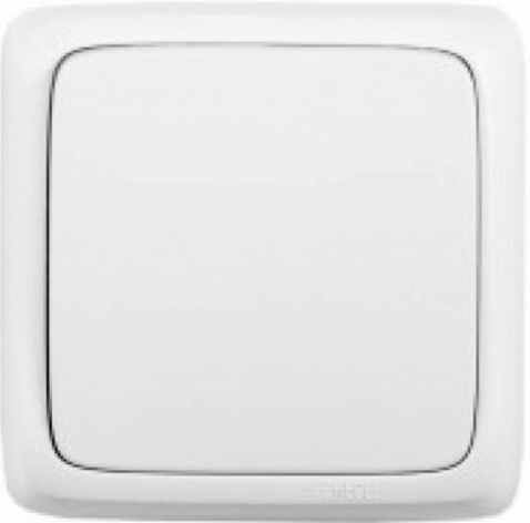 Изображение товара Выключатель одноклавишный HEGEL ВА16-113 для освещения