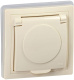 фото Розетка с заземлением с крышкой IEK KV-R16-16-44-K33 в Красноярске