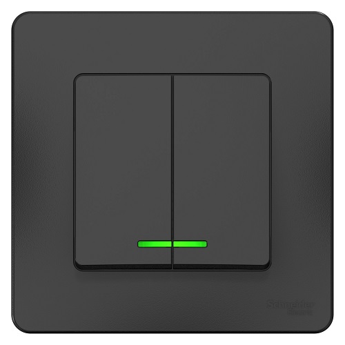 

Выключатель Schneider Electric BLNVS010516 2-клавишный с подсветкой, 10А, 250B Антрацит внутр, BLNVS010516