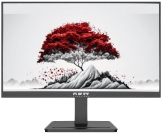 Изображение товара Монитор RDW Computers RDW2401K 23,8" IPS антибликовое с защитой зрения