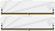 фото Модуль памяти Netac NTSSD4P32DP-32W