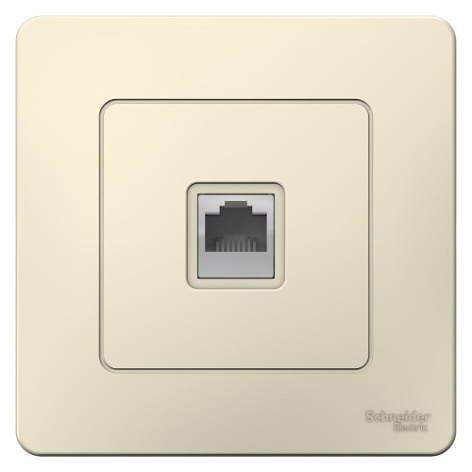 фото Розетка  Systeme Electric BLNIS011002 в Омске