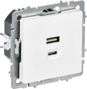 фото Розетка USB  IEK BR-U22-045-K91