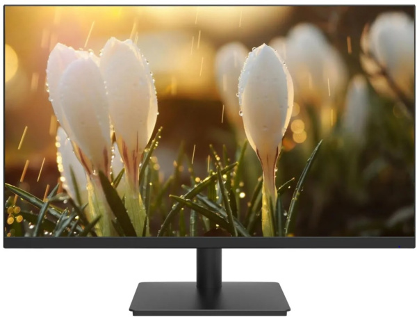 фото Монитор 27" Dahua DHI-LM27-A201H в Челябинске