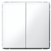 фото Выключатель двухклавишный Systeme Electric GAL001351S
