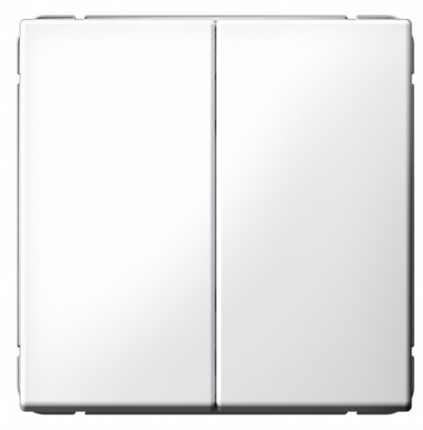 фото Выключатель двухклавишный  Systeme Electric GAL001351S в Красноярске