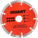 фото Диск алмазный Gigant G-1035