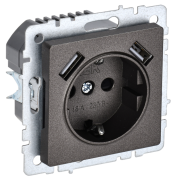 фото Розетка с заземлением IEK BR-R14-16-U21-D21-K45