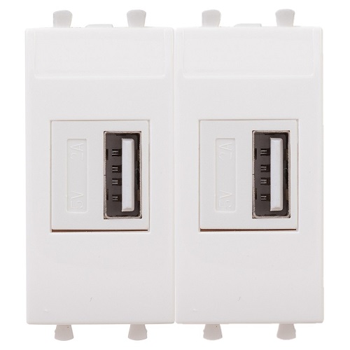 

Зарядное устройство DKC 4400542 модульное, USB, "Белое облако", 2 модуля, "Avanti", 4400542