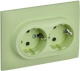 фото Розетка двухместная с заземлением в сборе IEK SK-R24-16-K06-F в Казани