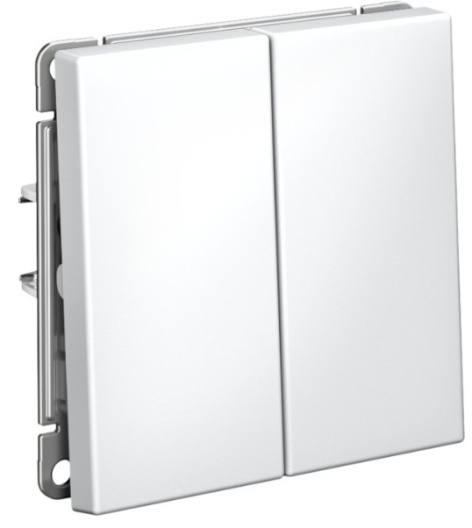 фото Выключатель двухклавишный  Systeme Electric GAL000151S в Красноярске