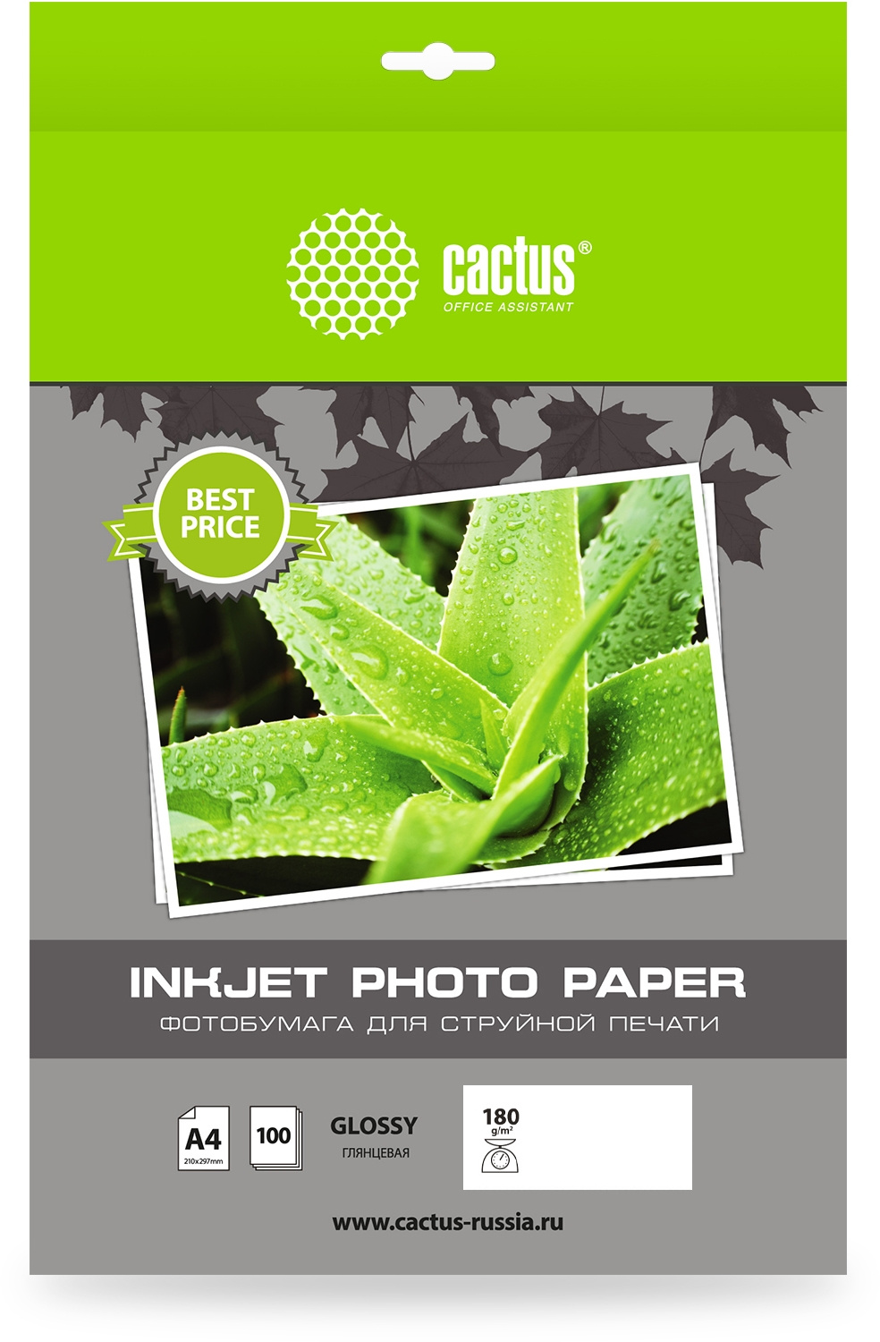 

Фотобумага Cactus CS-GA4180100ED A4/180г/м2/100л./белый глянцевое для струйной печати, CS-GA4180100ED